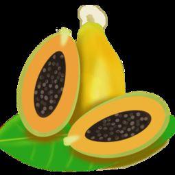 吃瓜视频素材下载免费观看,免费下载吃瓜视频，畅享无界限的娱乐时光  第3张