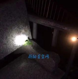 水族毒蛇爆料视频大全,惊心动魄的爆料视频大全 第1张 水族毒蛇爆料视频大全,惊心动魄的爆料视频大全 第1张